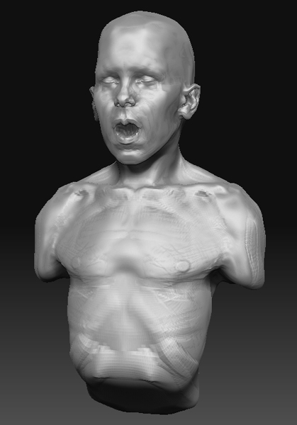 initialtopologysculptmo.jpg
