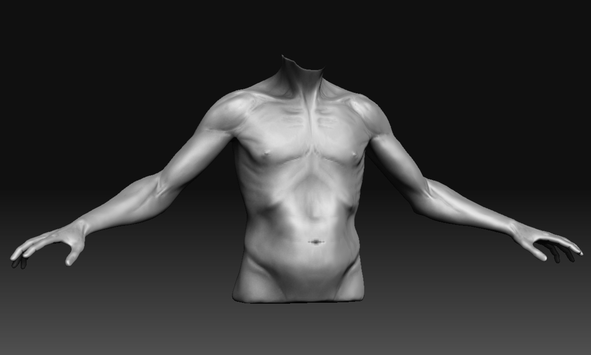 upperbody.jpg