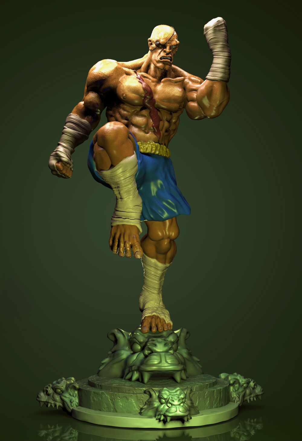 S1png