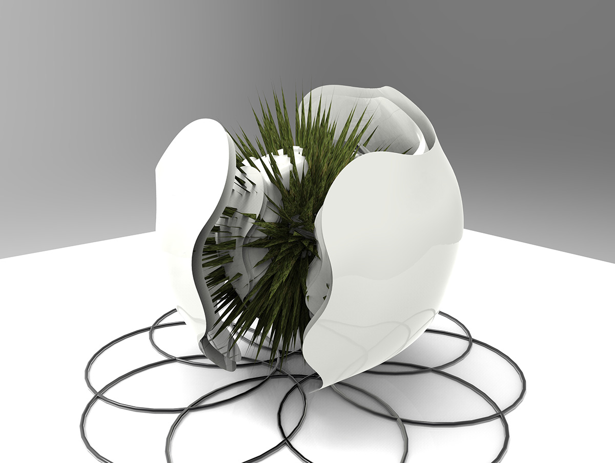 shellAndGrassRings.577.jpg
