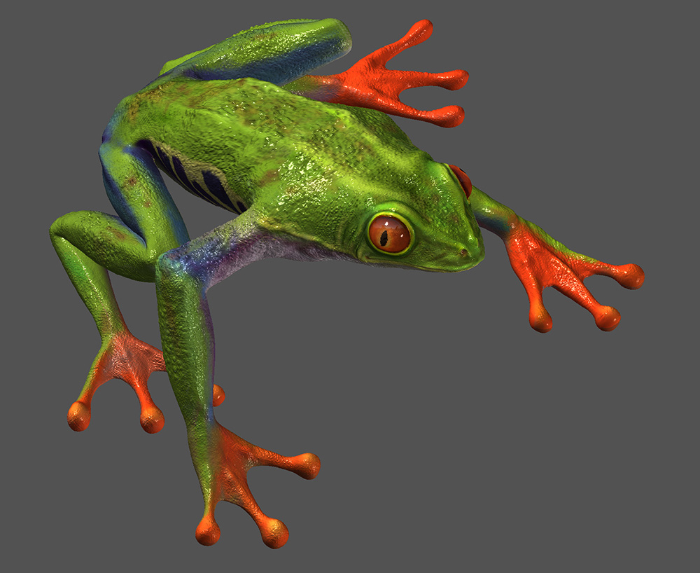 frog_a.jpg