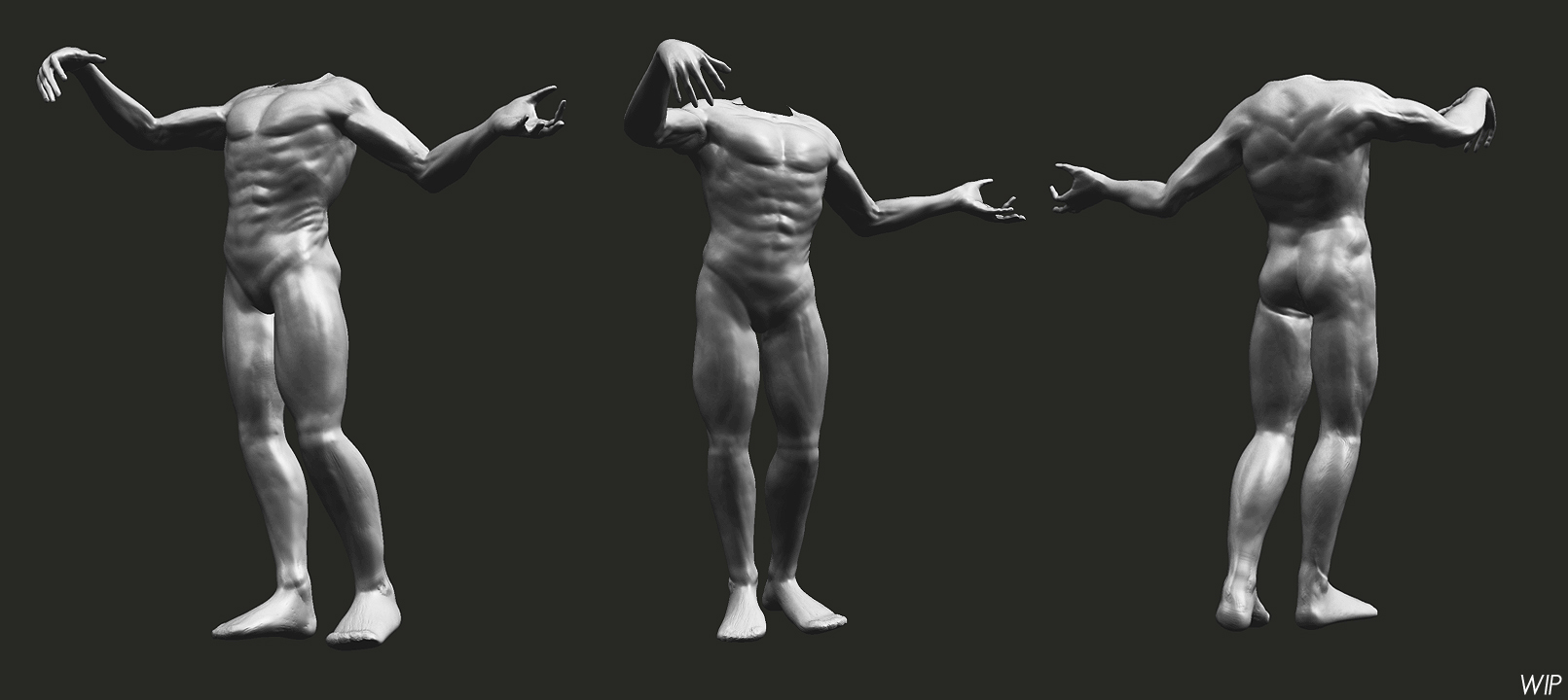 anatomy.jpg
