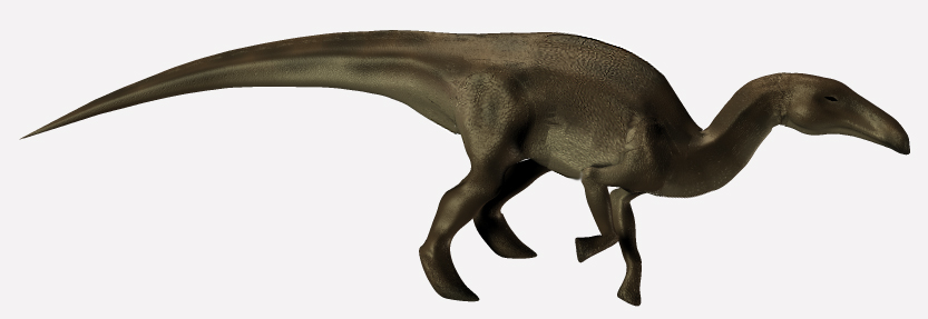 z Edmontosaurus 02.jpg