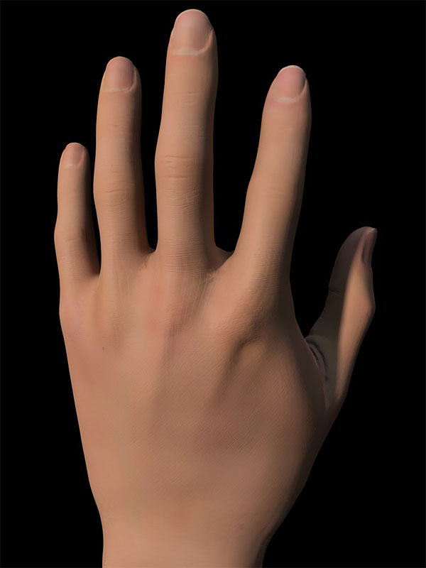 main17_800.jpg