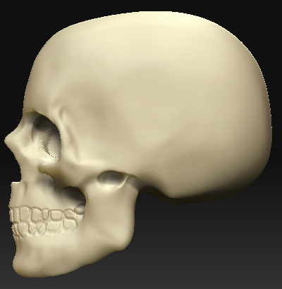 skull-02.jpg