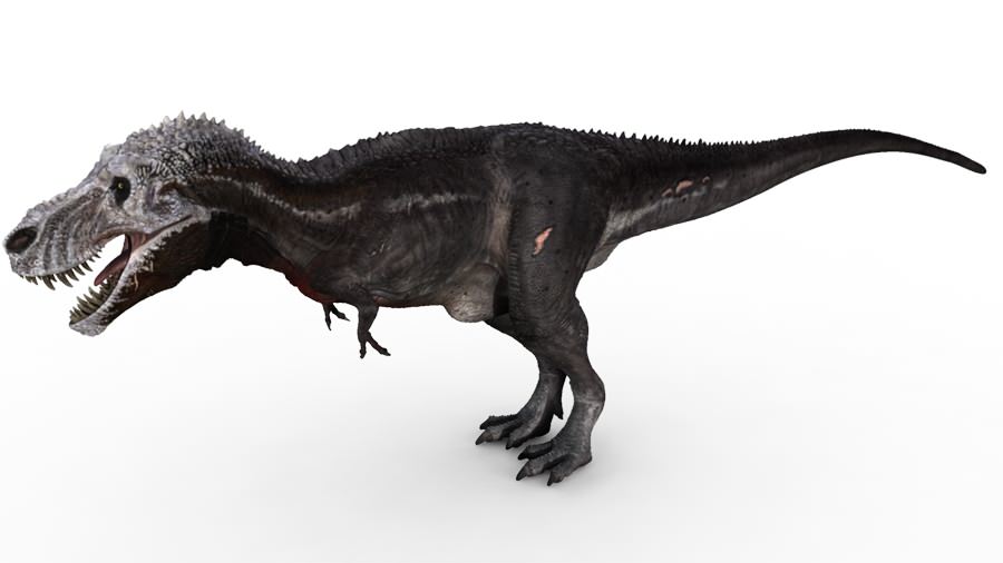 stumpy4.jpg