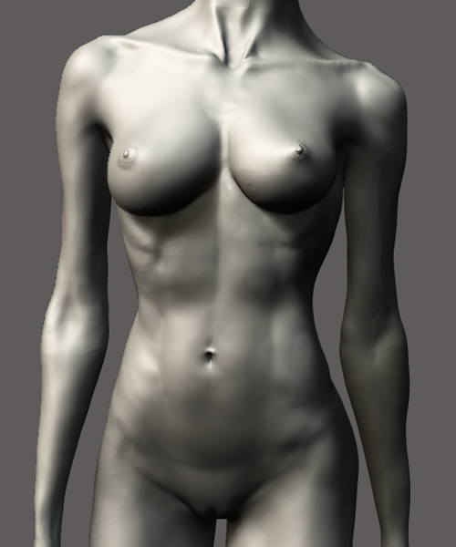 Torso3.jpg