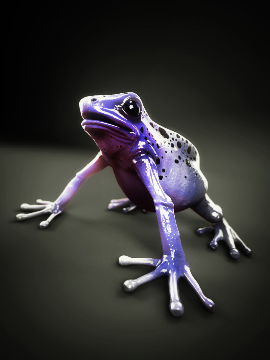 Blue_dart_frog_001_00000.jpg