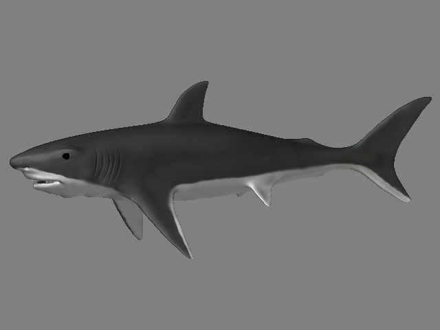 gwshark.jpg