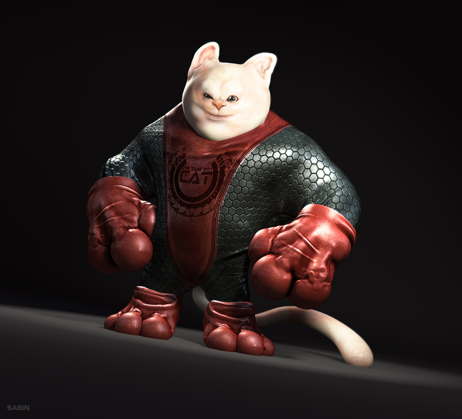 cat.jpg