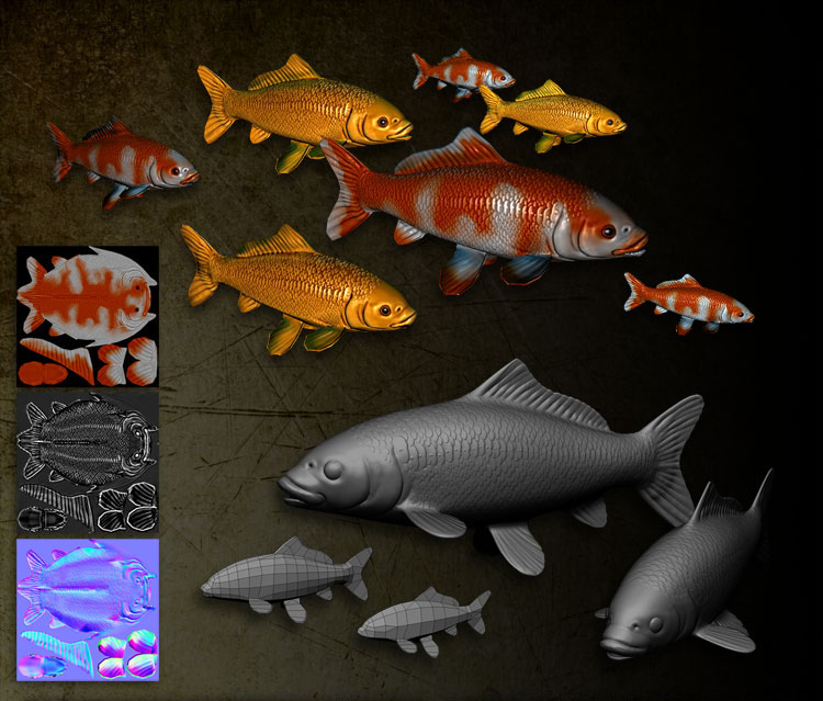 koi_fish.jpg