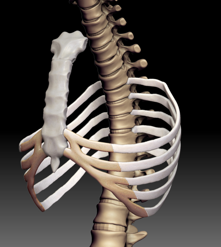 ribintersection.jpg