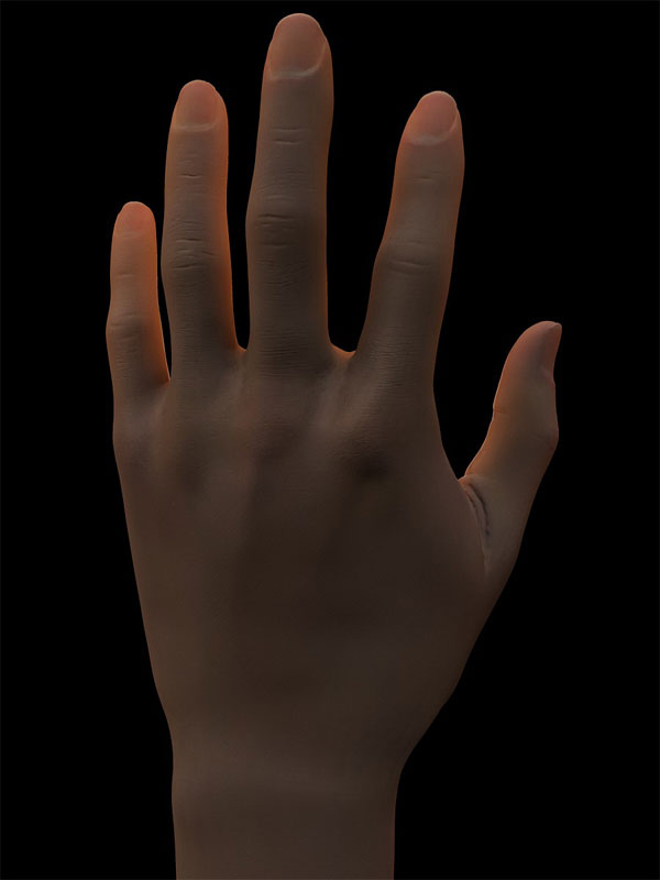 main13_800.jpg