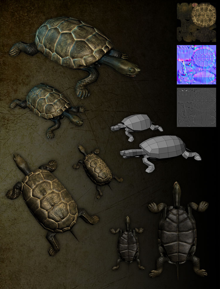 turtle_pond.jpg