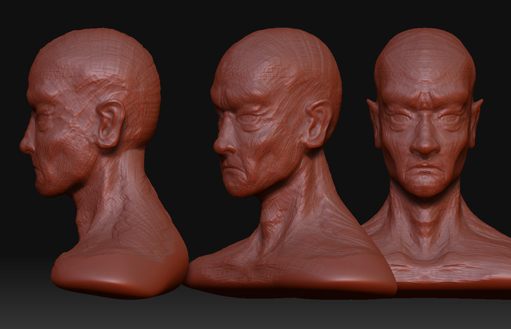 bust1_sheet.jpg