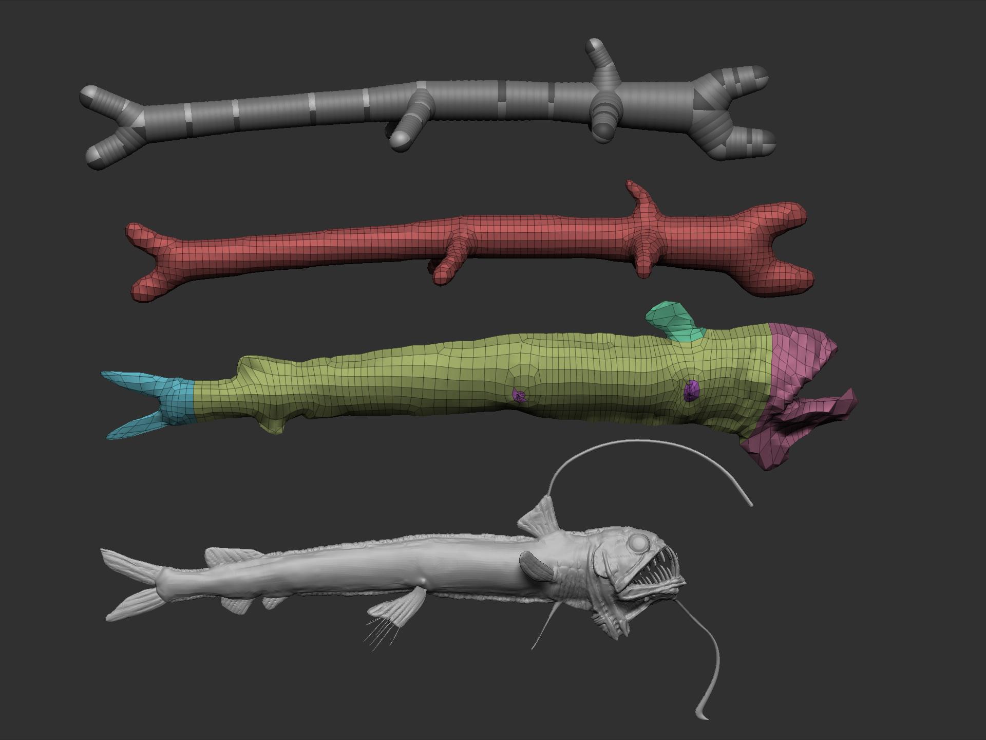 wsg odm fish basic v1 workflow .1.jpg