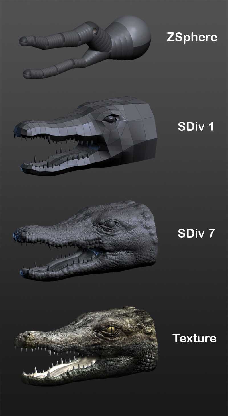 Crocodile_head.jpg