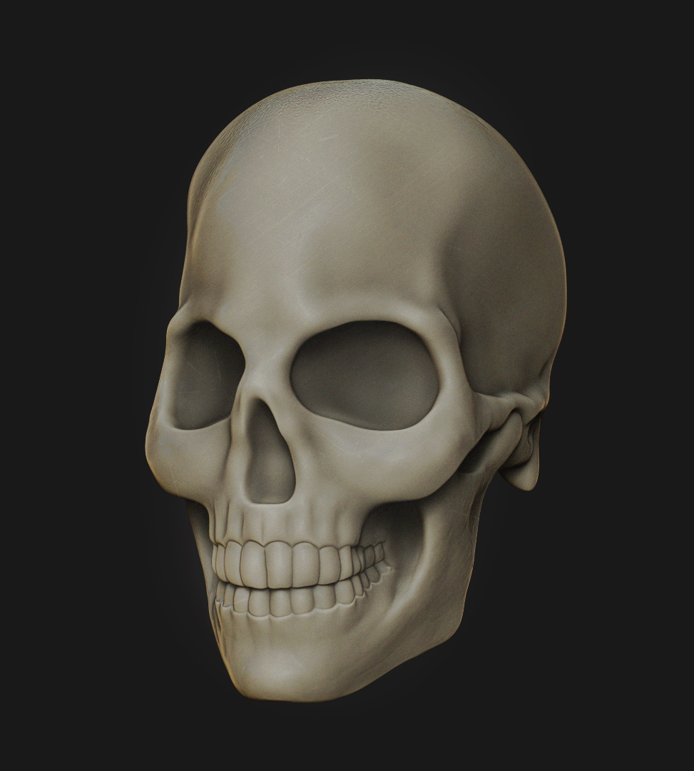 Skull_Comp_2.jpg