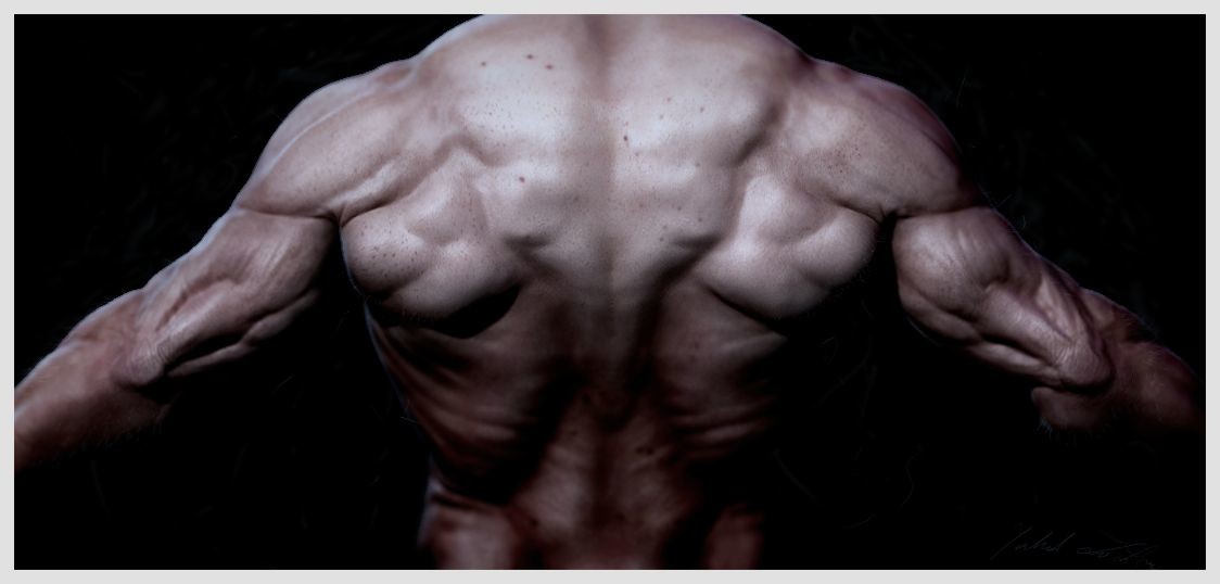 jakub-ziolkowski-anatomy2.jpg