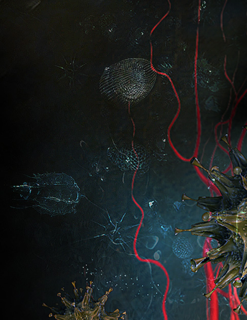 vanitas_DEF_DETAIL2.jpg