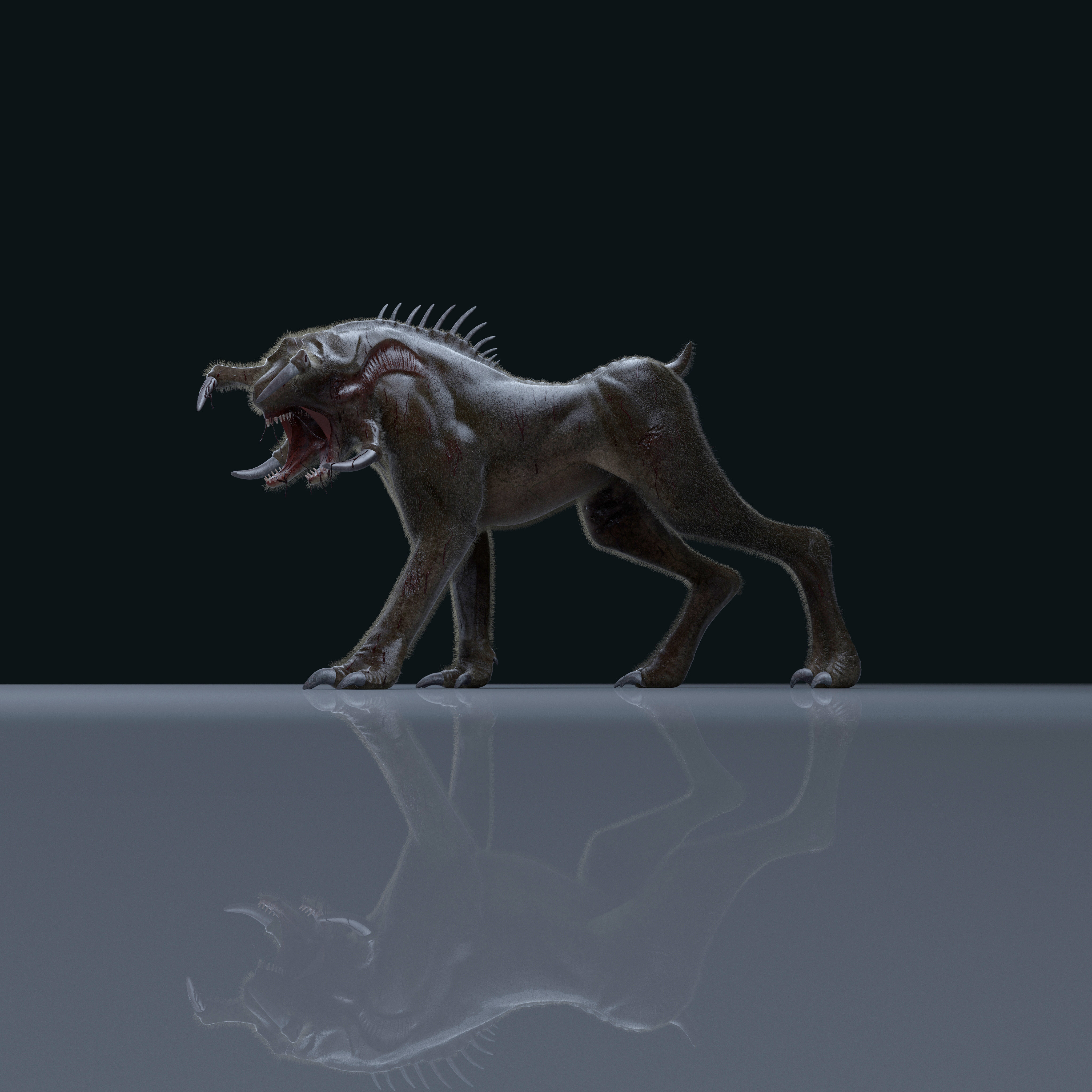 dog-8