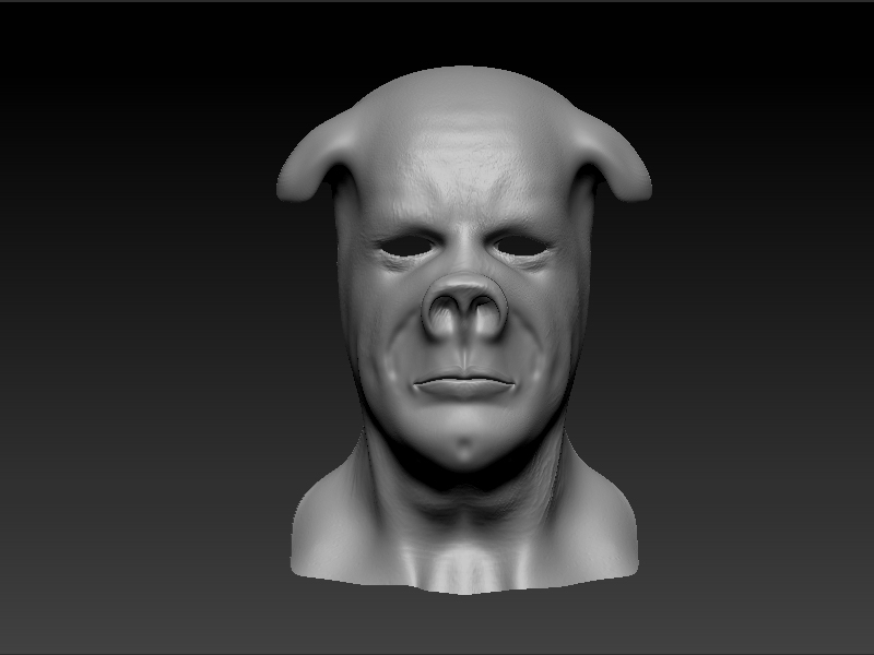 pig new.jpg