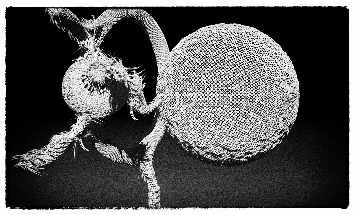 MixedMesh.jpg