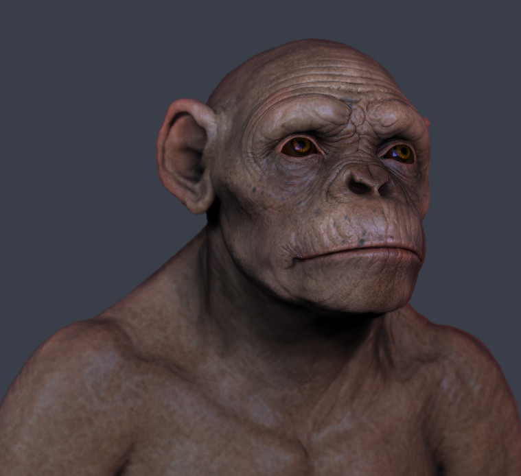 luka-pavlovich-mankeyrenderfnal.jpg