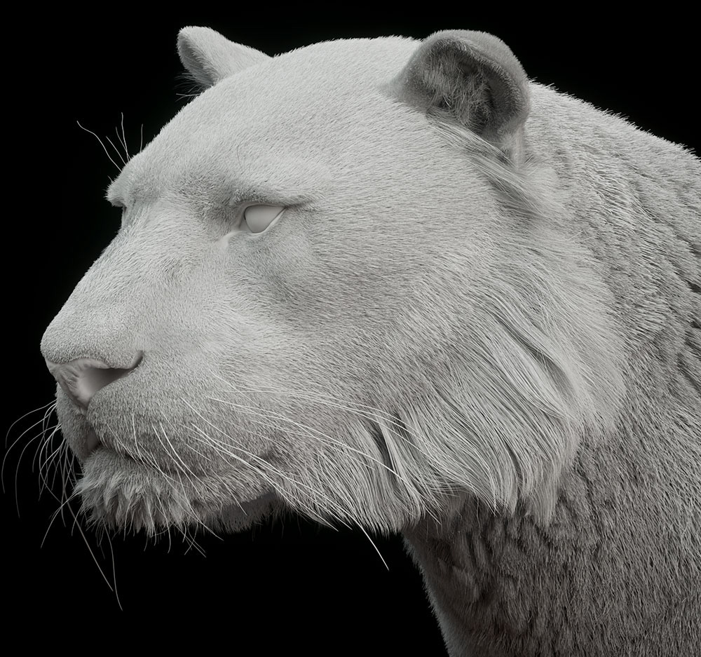 Amur-Tiger-Profile-Clay