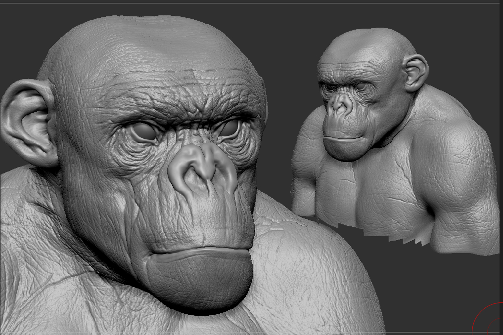 primata_zbrush.jpg