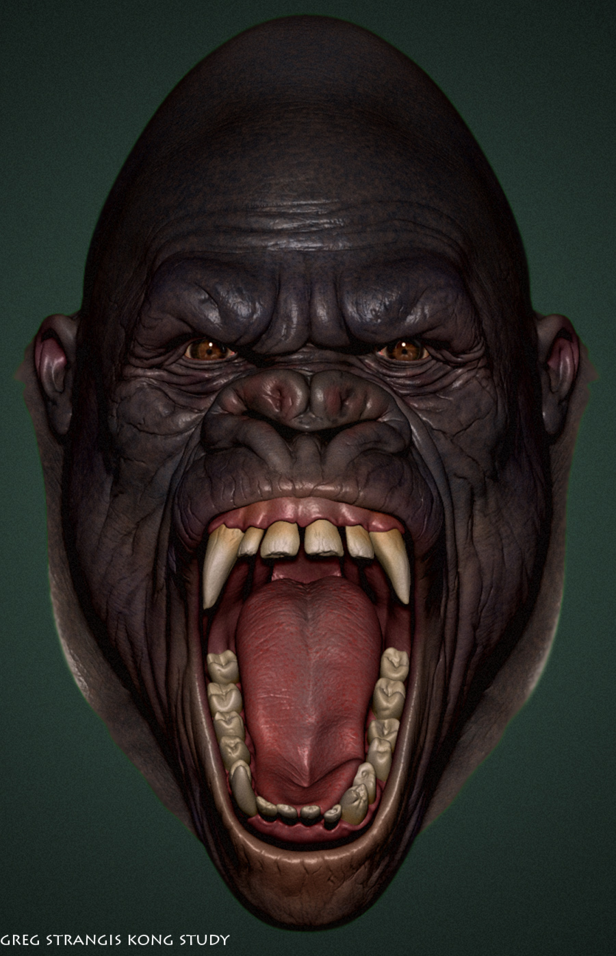 Front-Shot-Kong2.jpg