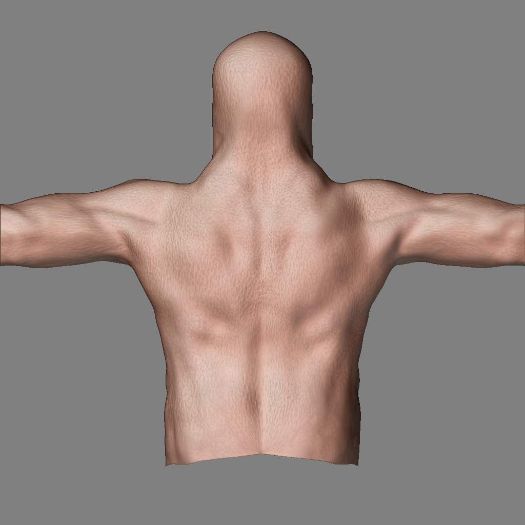 fixing torso06.jpg
