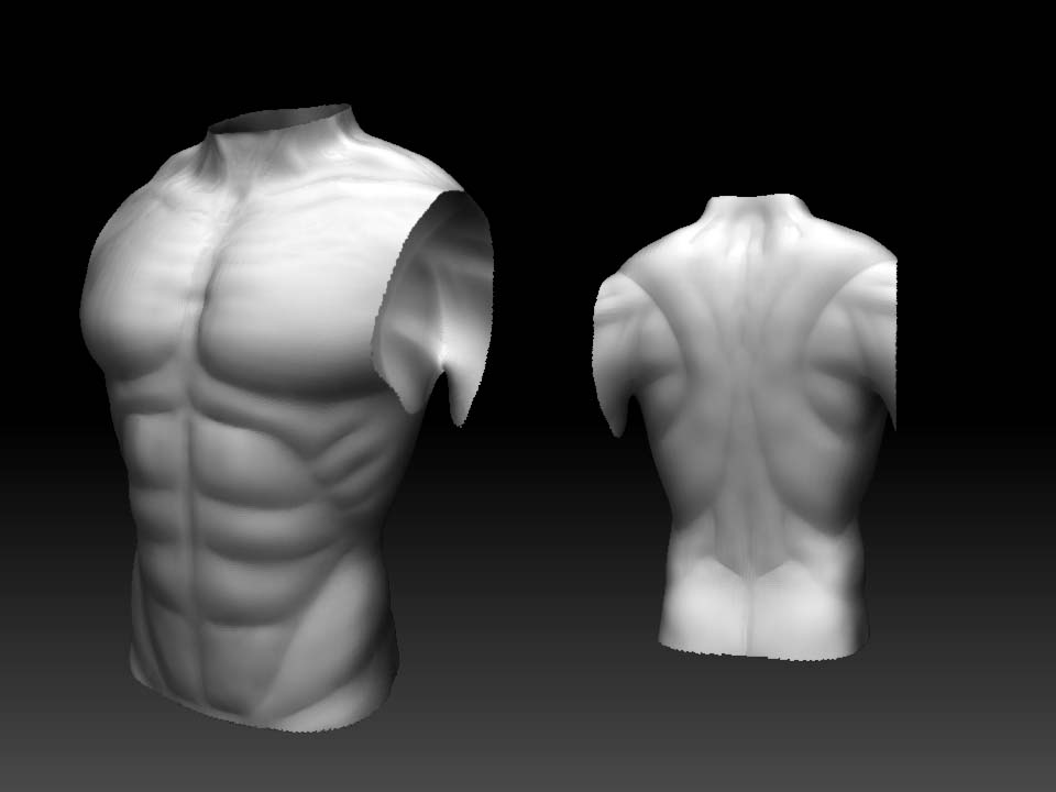 body.jpg