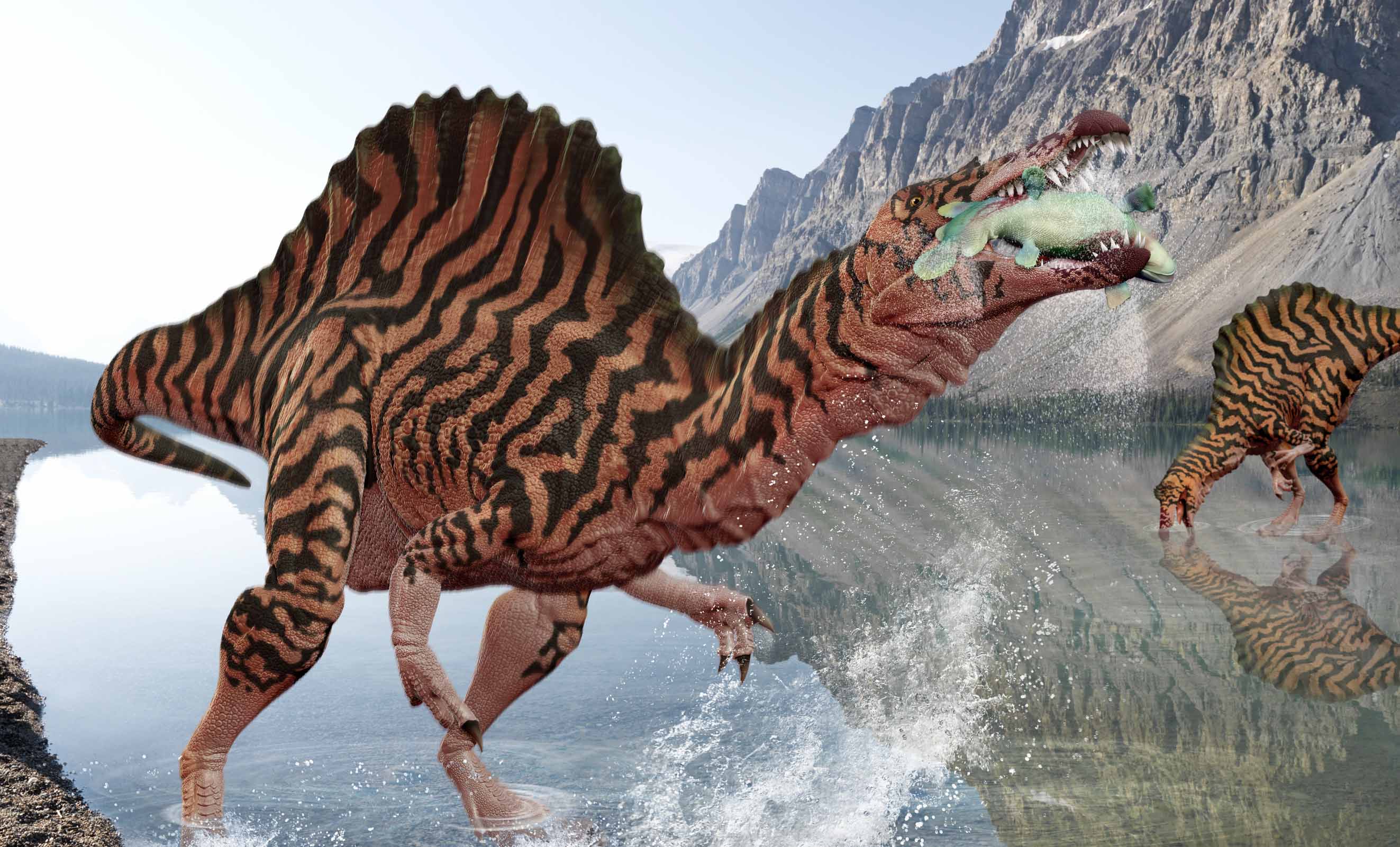 Spinosaurus HIRES FLAT.jpg