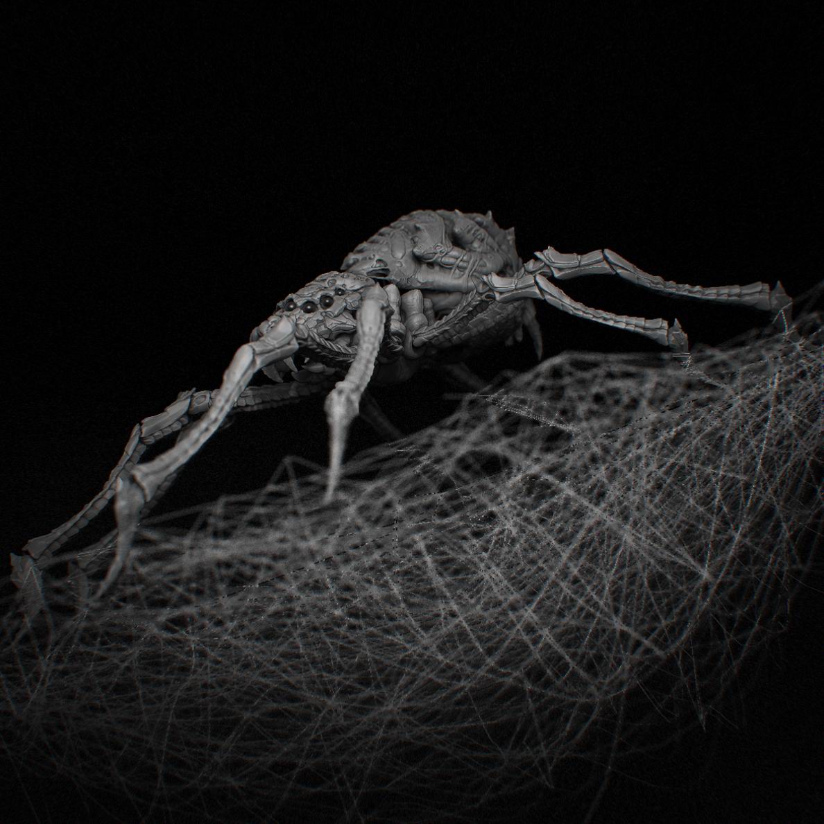 Resize of spider_02.jpg