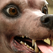 wolf_wip_08.jpg