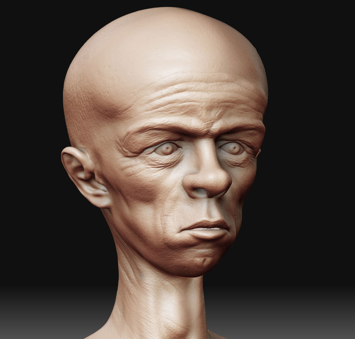 Head.jpg
