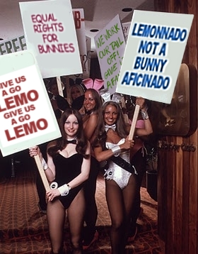 BUNNIES.JPG