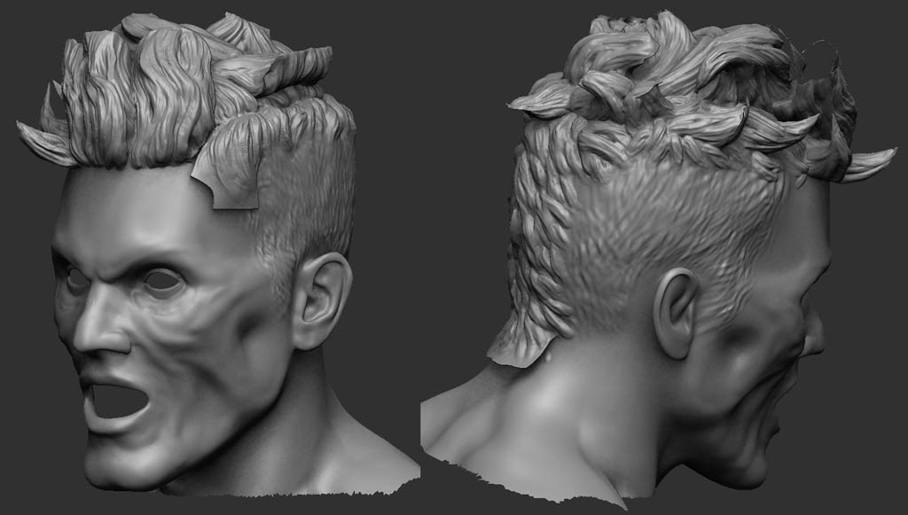 z_head.jpg