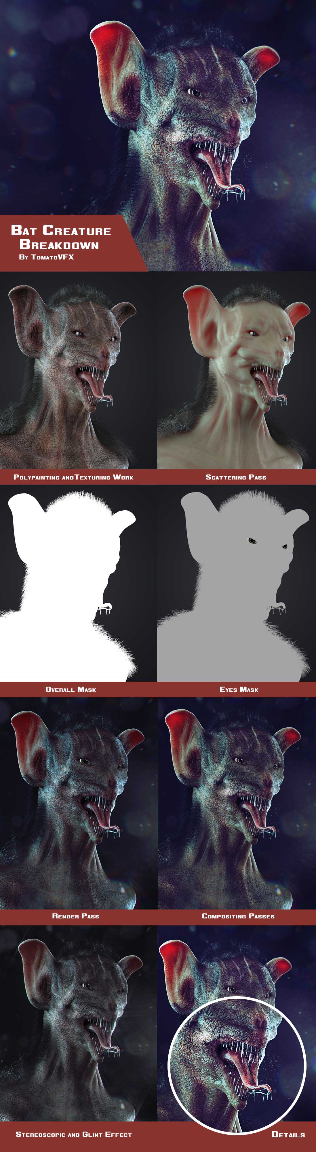 Bat Creature Study Breakdown.jpg