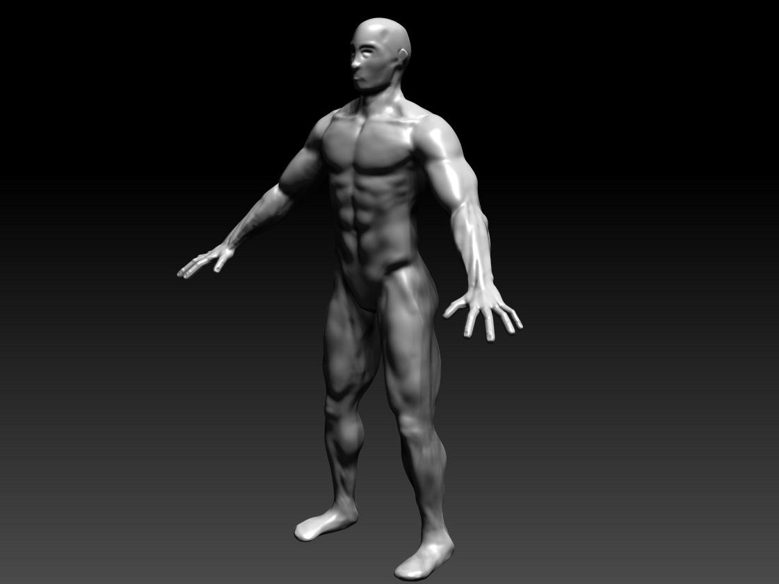 FullBodyPersp.jpg