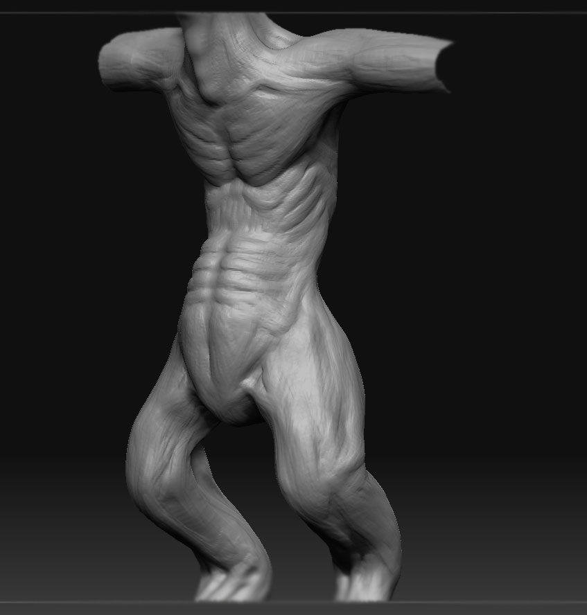 wip_torso_3.jpg