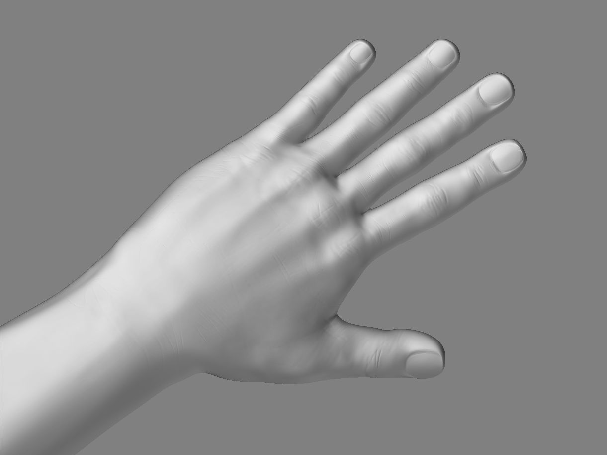Hand_mesh_detail2.jpg