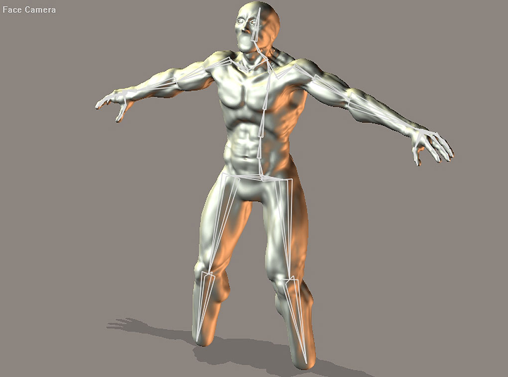 rigged_1.jpg