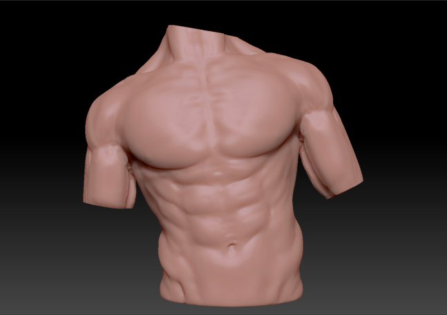 torso.jpg