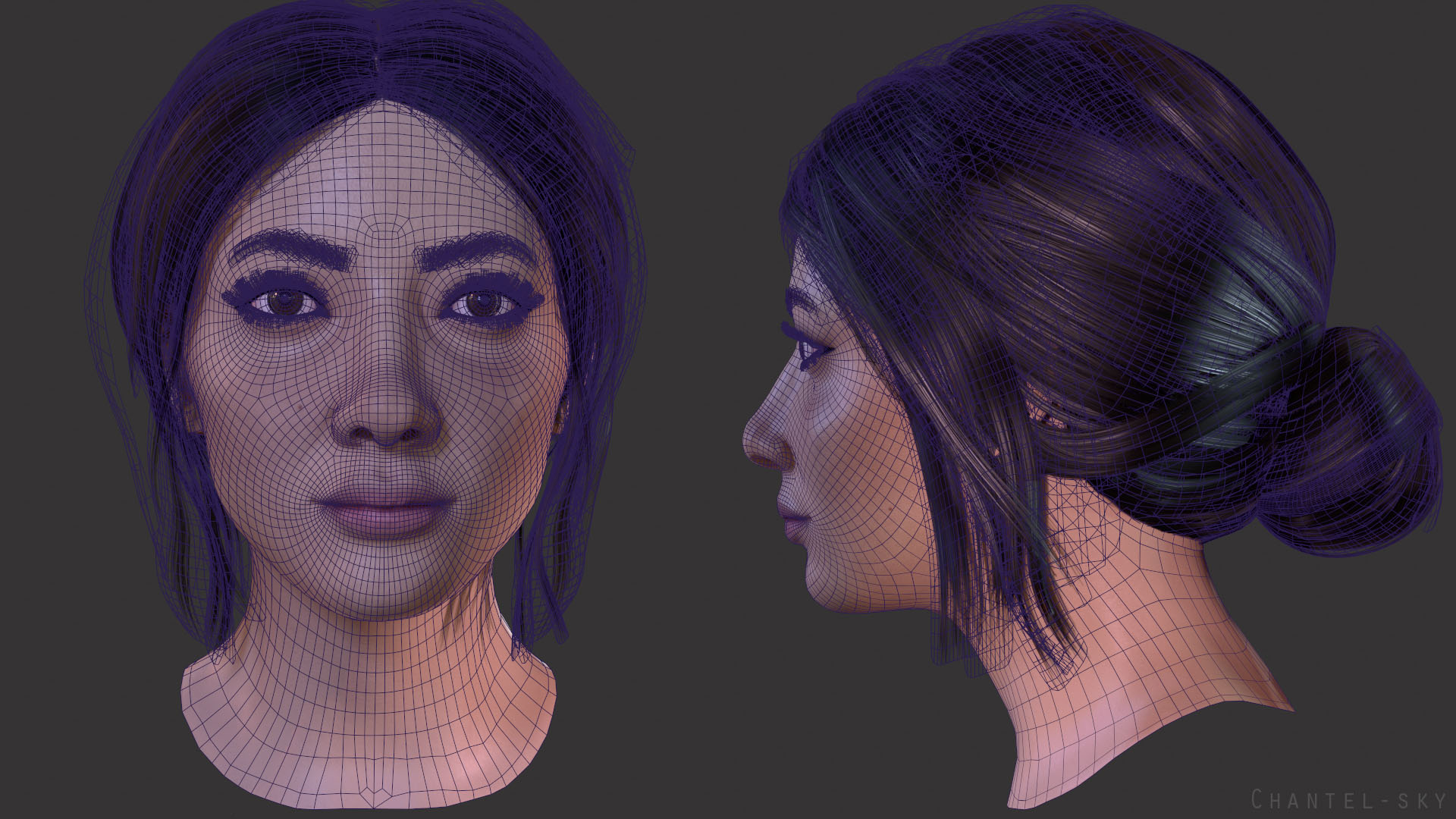 chantelsky04wireframe.jpg