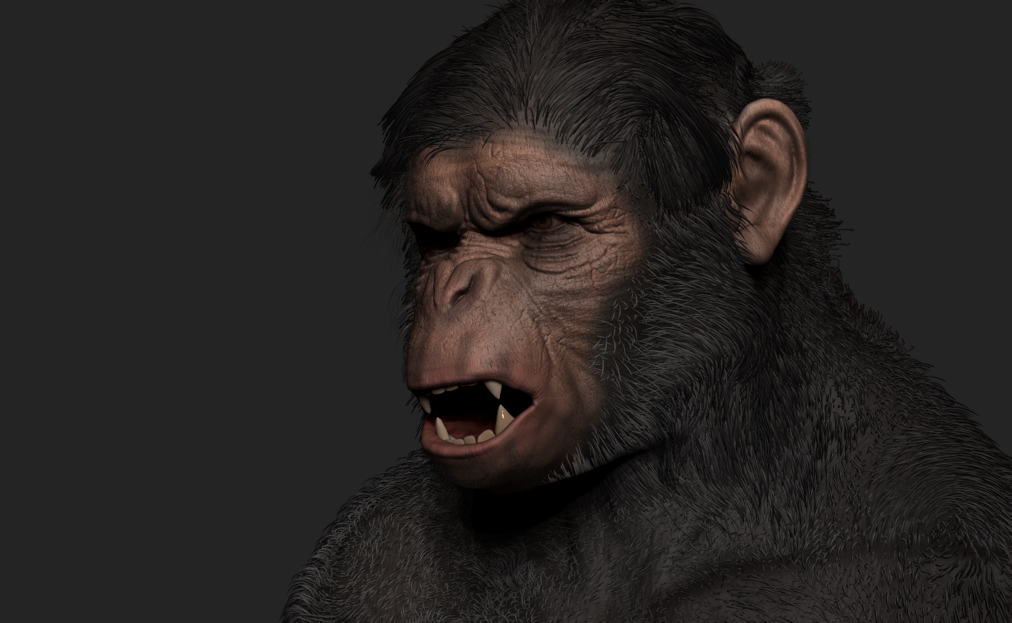 Ape_4.jpg