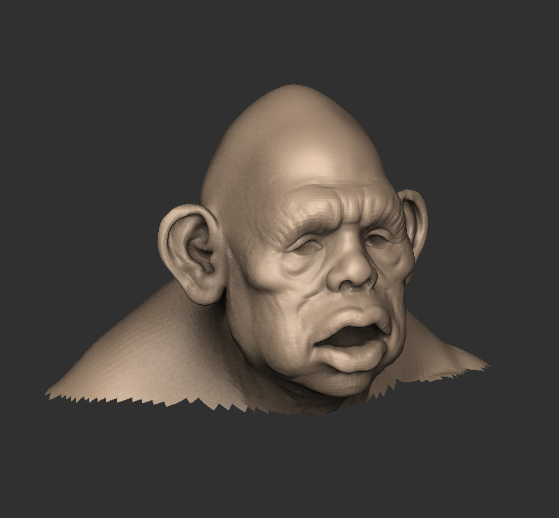 mountain_head_01.jpg