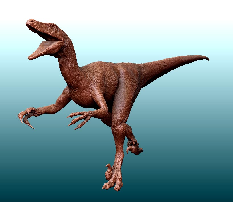 ZBrush D3.jpg