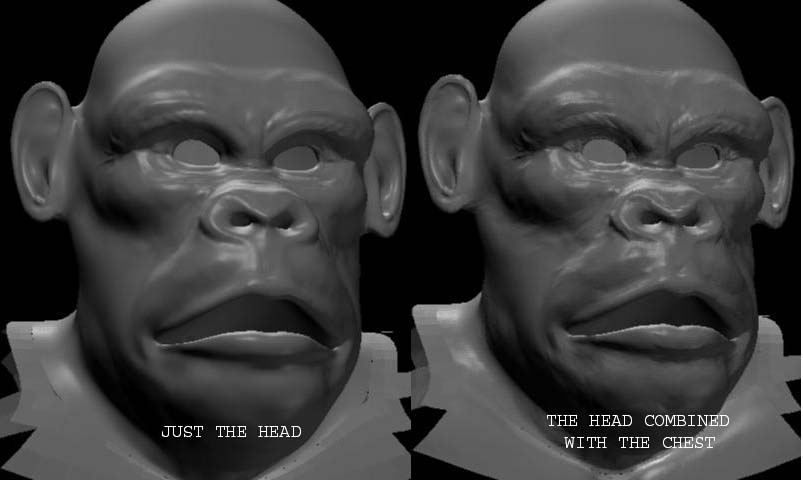 monkey displacement.jpg